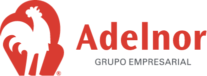Adelnor Logo
